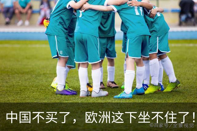 中国不买了，欧洲这下坐不住了！10月8日，据纽约时报中文网消息，中国正大力推进自力更生，持续布局核心产业、扩大本土产能