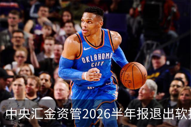 中央汇金资管2026半年报退出软控股份前十大股东名单