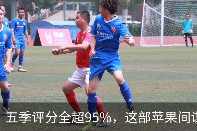 五季评分全超95%，这部苹果间谍剧又续订了第八季