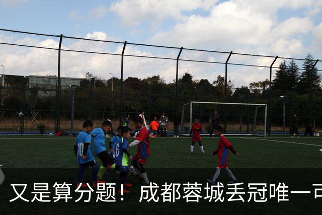 又是算分题！成都蓉城丢冠唯一可能：最后3轮全败，大连英博全胜