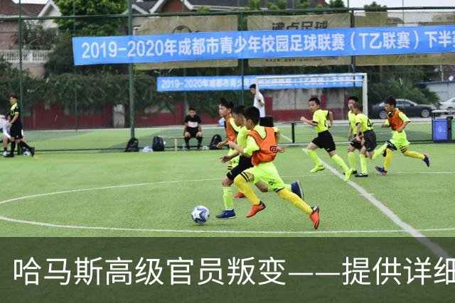 哈马斯高级官员叛变——提供详细情报协助以色列击毙哈马斯5名旅长中的33名，