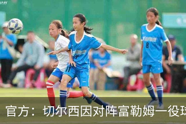 官方：切尔西因对阵富勒姆一役球迷不当行为遭到指控