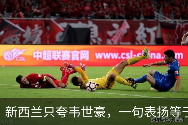 新西兰只夸韦世豪，一句表扬等于扇了全队耳光，国足体系已经死了