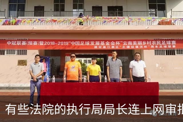 有些法院的执行局局长连上网审批的时间都没有，他们到底在忙什么？
