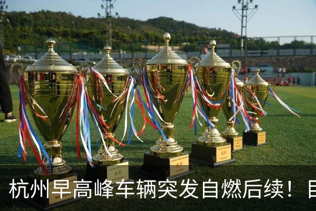 杭州早高峰车辆突发自燃后续！目击者曝出内情，众多车主纷纷警醒