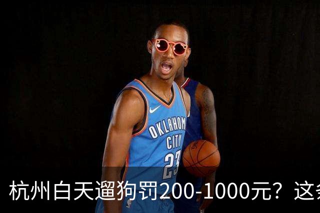 杭州白天遛狗罚200-1000元？这条规定 把养狗人和不养狗人都吵翻了