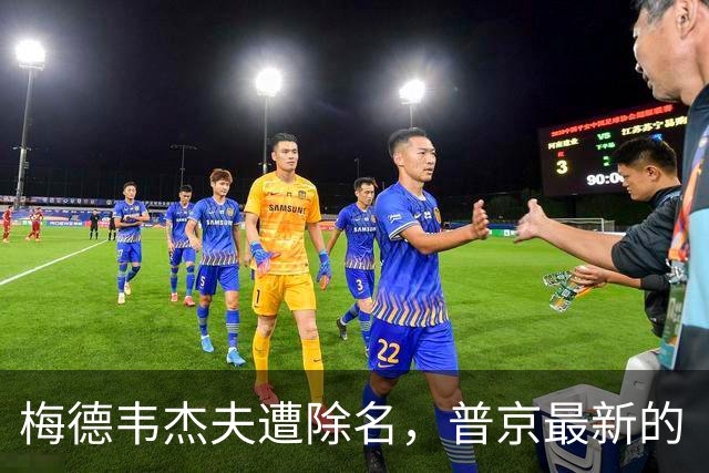 梅德韦杰夫遭除名，普京最新的“七大接班人”，不再给他留位子