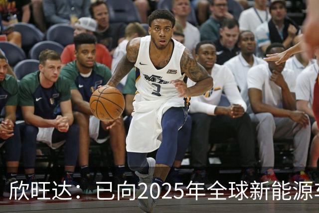 欣旺达：已向2025年全球新能源车厂出货量前十名中的八家客户供应动力类电池