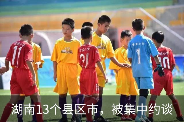 湖南13个县区市，被集中约谈