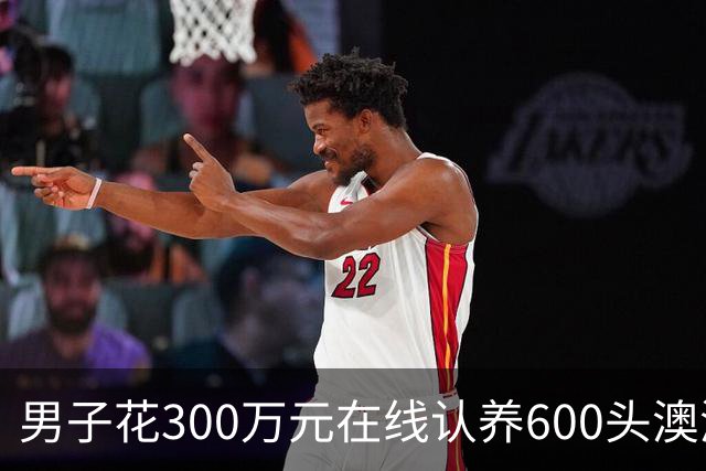 男子花300万元在线认养600头澳洲肉牛，结果牧场和牛都是假的