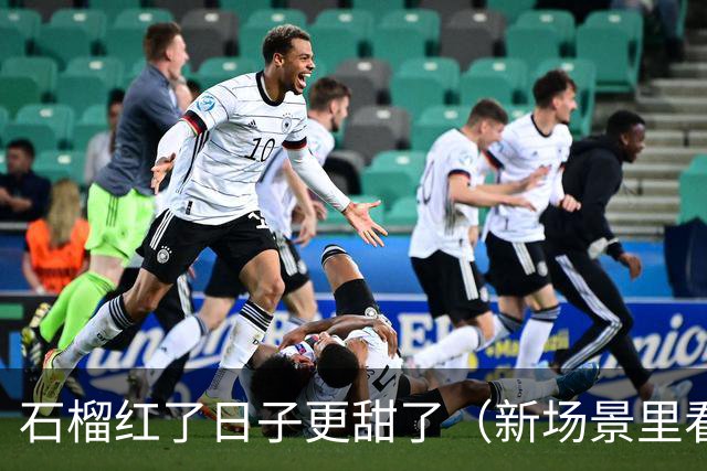 石榴红了日子更甜了（新场景里看活力）