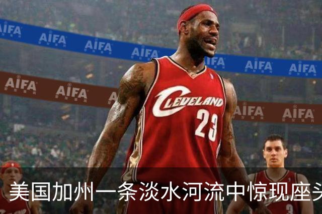 美国加州一条淡水河流中惊现座头鲸，距其太平洋栖息地足有97公里