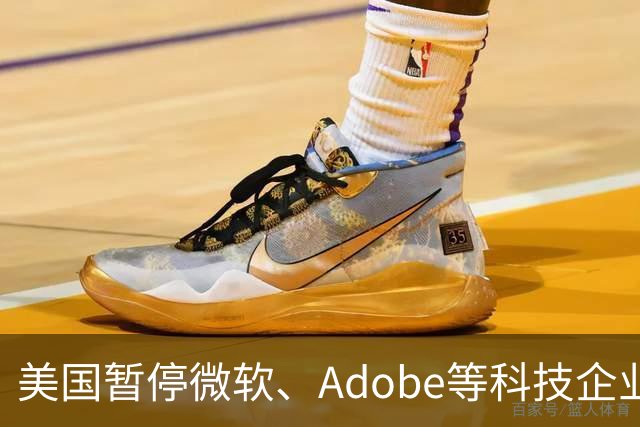美国暂停微软、Adobe等科技企业技术移民绿卡申请资格 引发行业关注