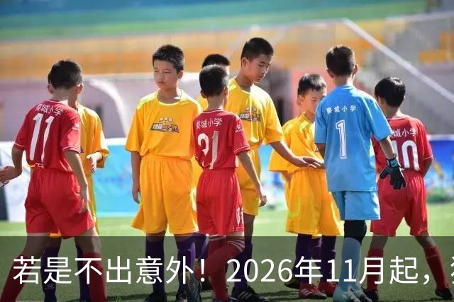 若是不出意外！2026年11月起，猪肉，鸡蛋，蔬菜或迎来“大变局”