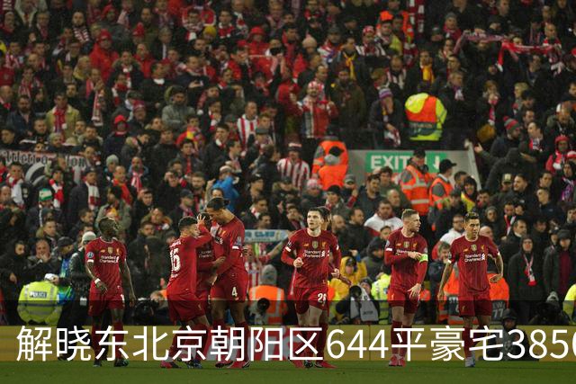 解晓东北京朝阳区644平豪宅3850万法拍，全部用于偿还债务