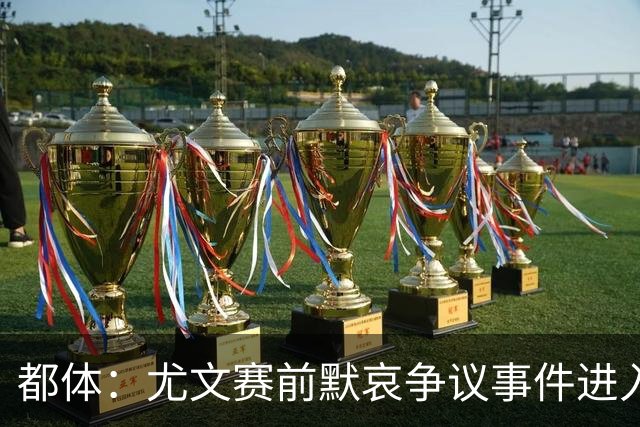 都体：尤文赛前默哀争议事件进入调查，南看台或遭关闭
