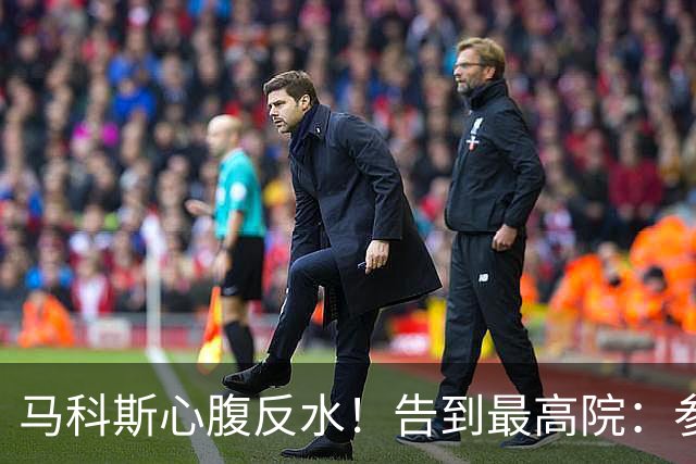 马科斯心腹反水！告到最高院：参议院篡改宪法，14票定罪副总统