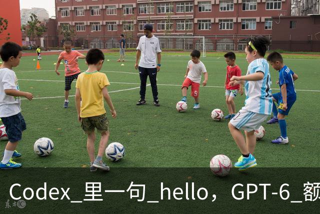 Codex 里一句 hello，GPT-6 额度光速蒸发