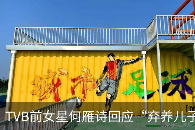 TVB前女星何雁诗回应“弃养儿子”指控！称已错失不少工作机会！不担心与老公分居引婚变
